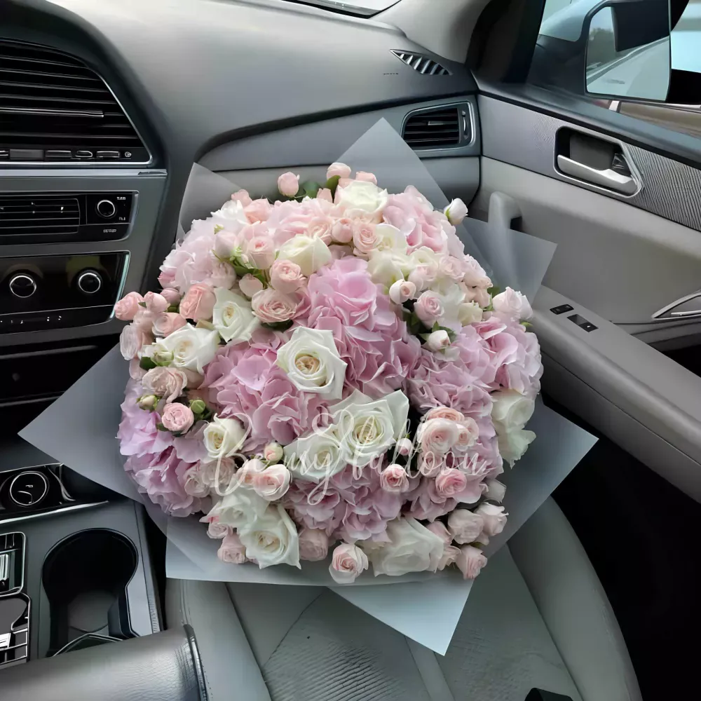 Trembling of the soul x Sention