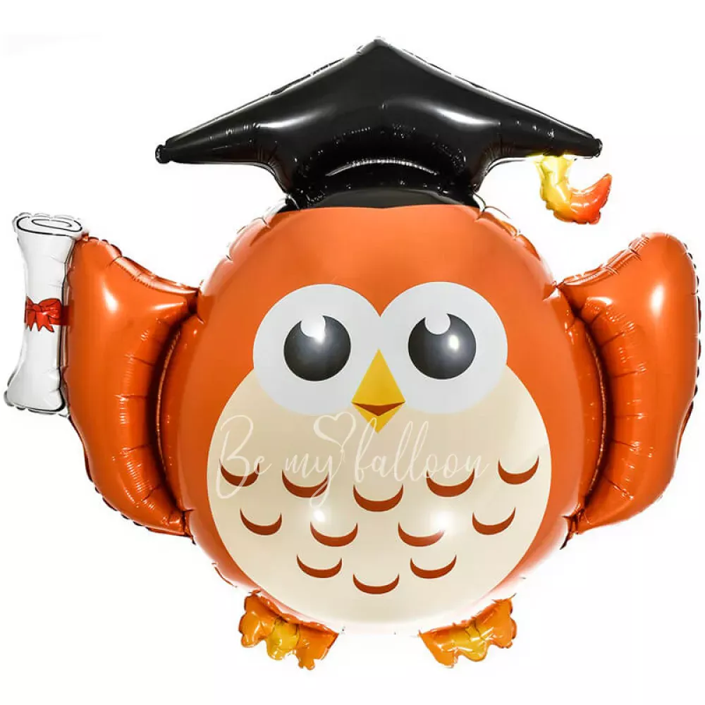 32" Воздушный шар умная сова