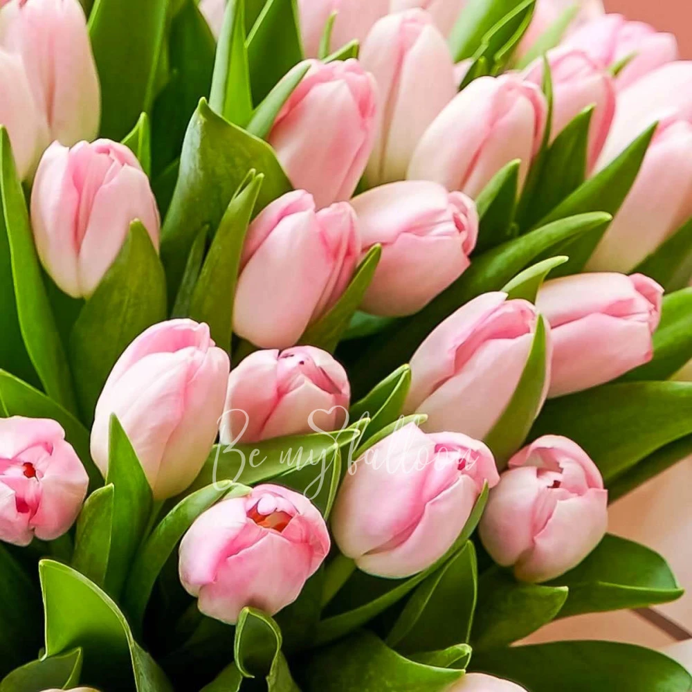 Romantic Pink