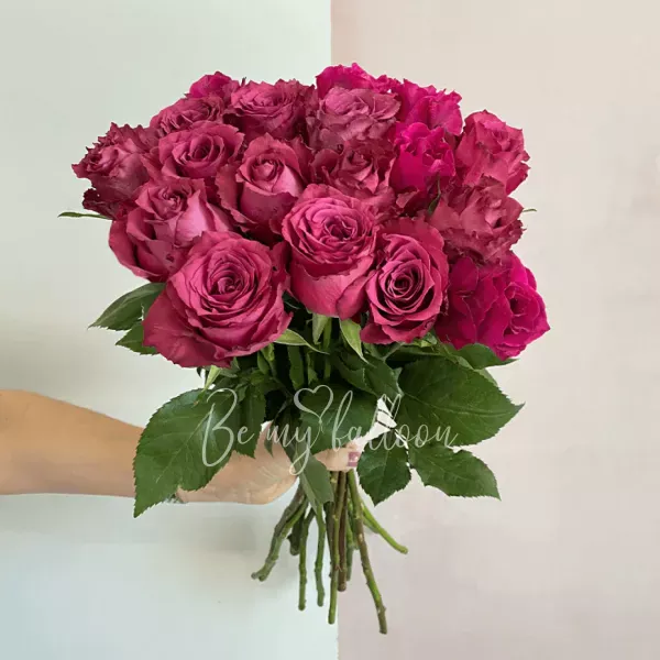 20 Purple Premium Roses