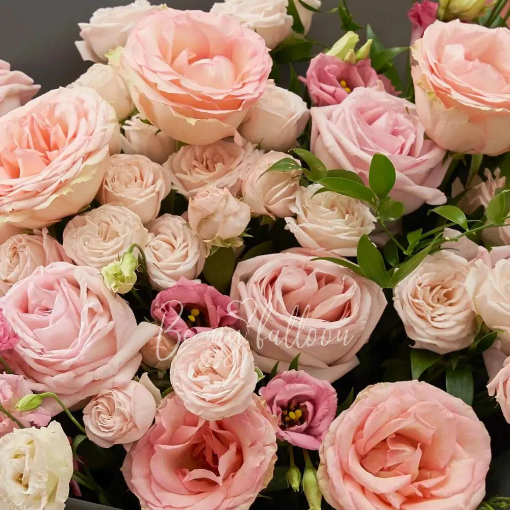 اختيار ألميرا